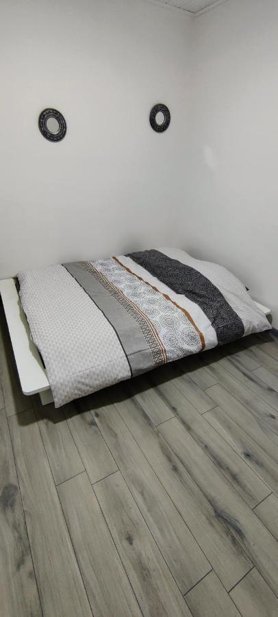 Appartement En Centre Ville Thonon-les-Bains Eksteriør billede